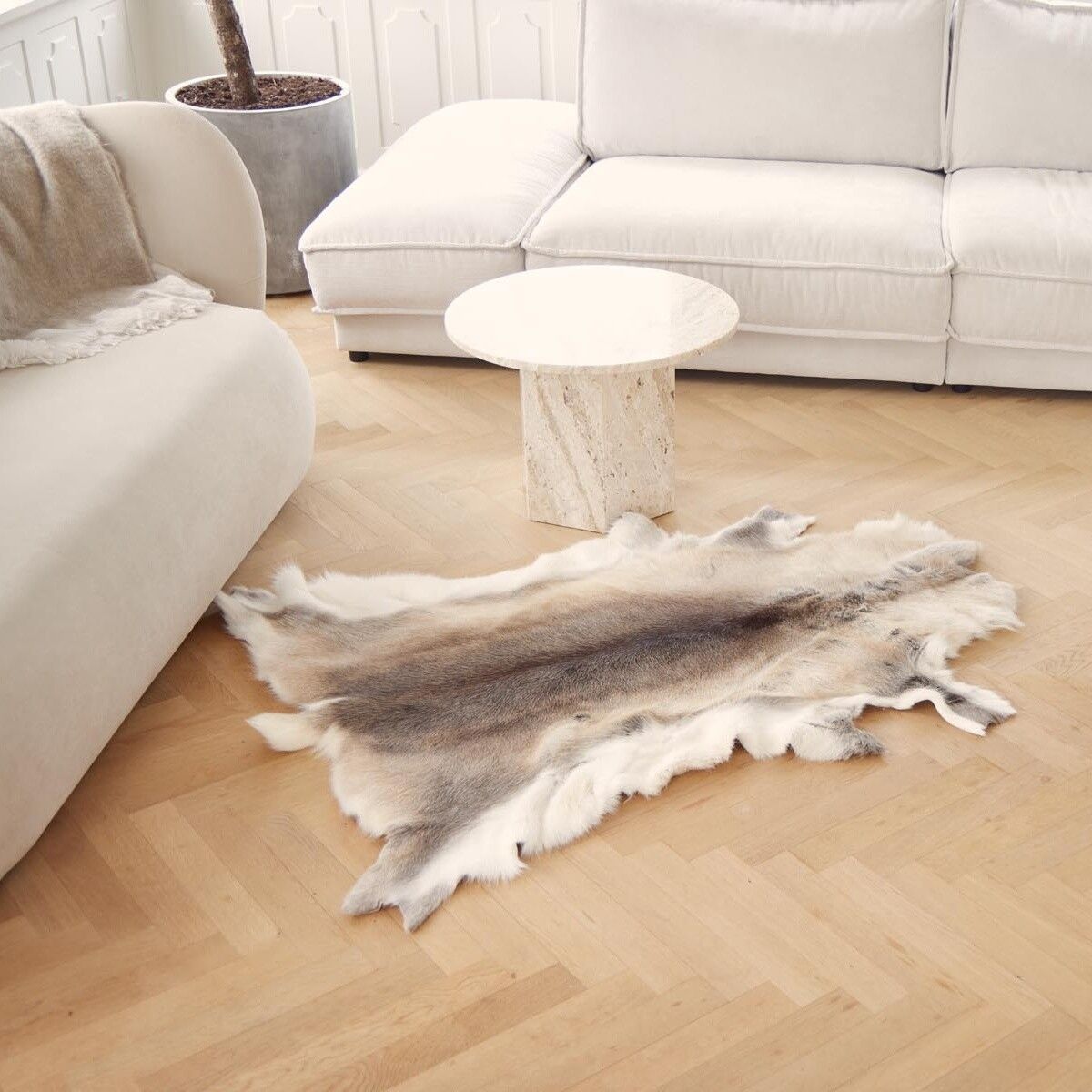 Rentierfell Premium | Finnland | Hell (selten) | 70x110 Andere Felle | Sheepskinhouse.ch