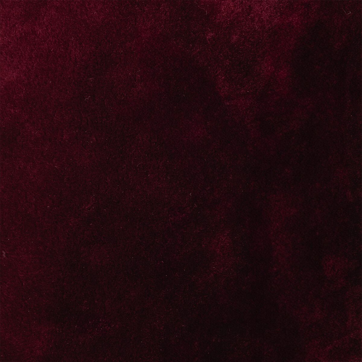 Addison Decke | Kurzhaar | Neuseeland | Doubleface Bordeaux