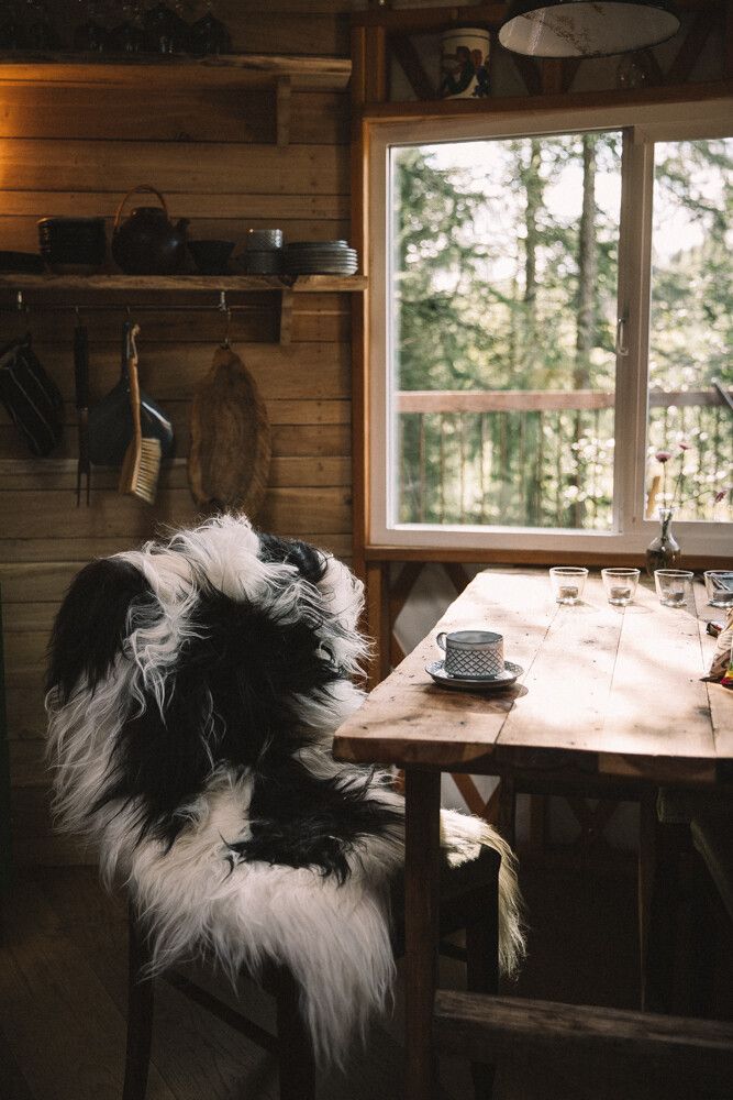 Lammfell Premium | Langhaar | Island | 90x60 cm Lammfelle | Sheepskinhouse.ch