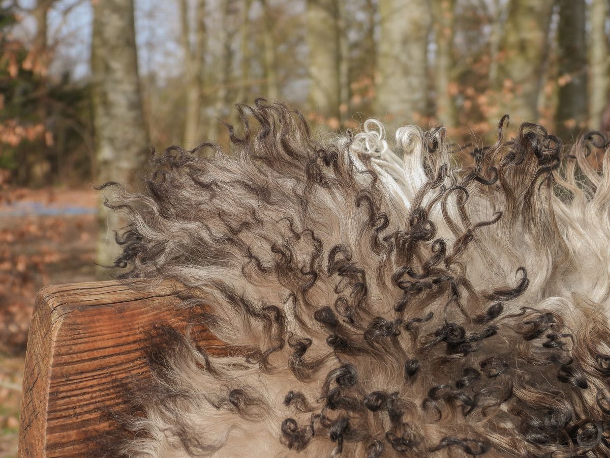 Lammfell Premium | Österreich | Erstklassig | 90x60 cm Graubeige