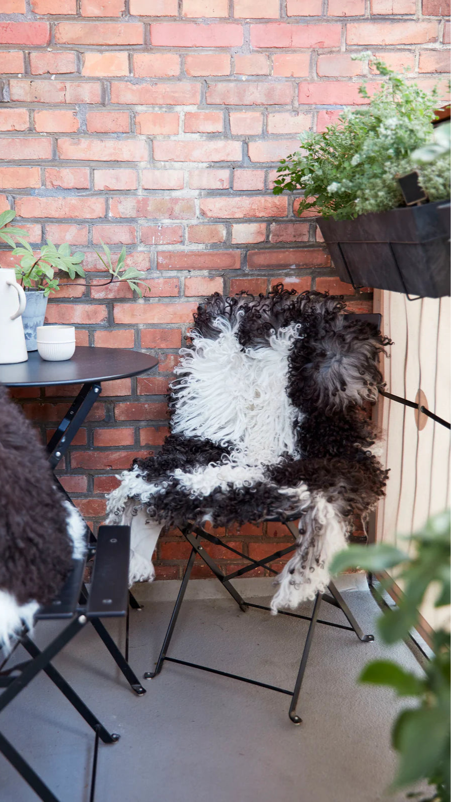 lammfell aus osterreich auf balkon