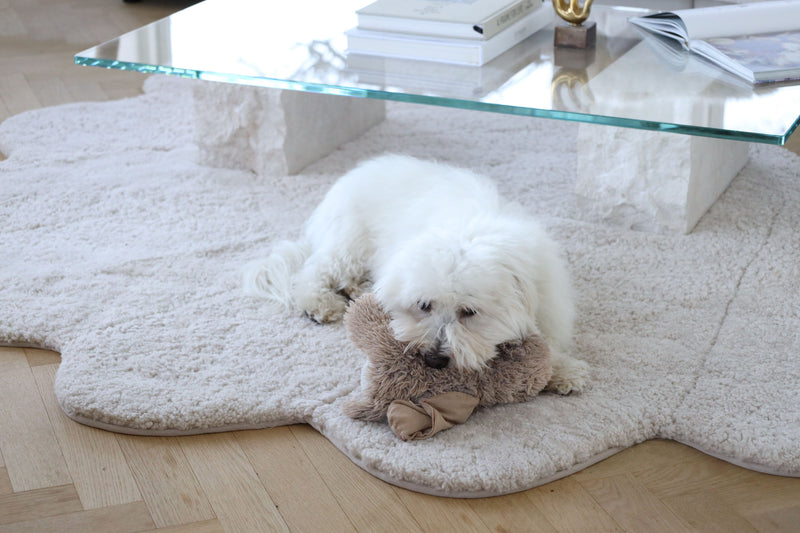 Hund liegt auf einen Kurzhaar Fellteppich