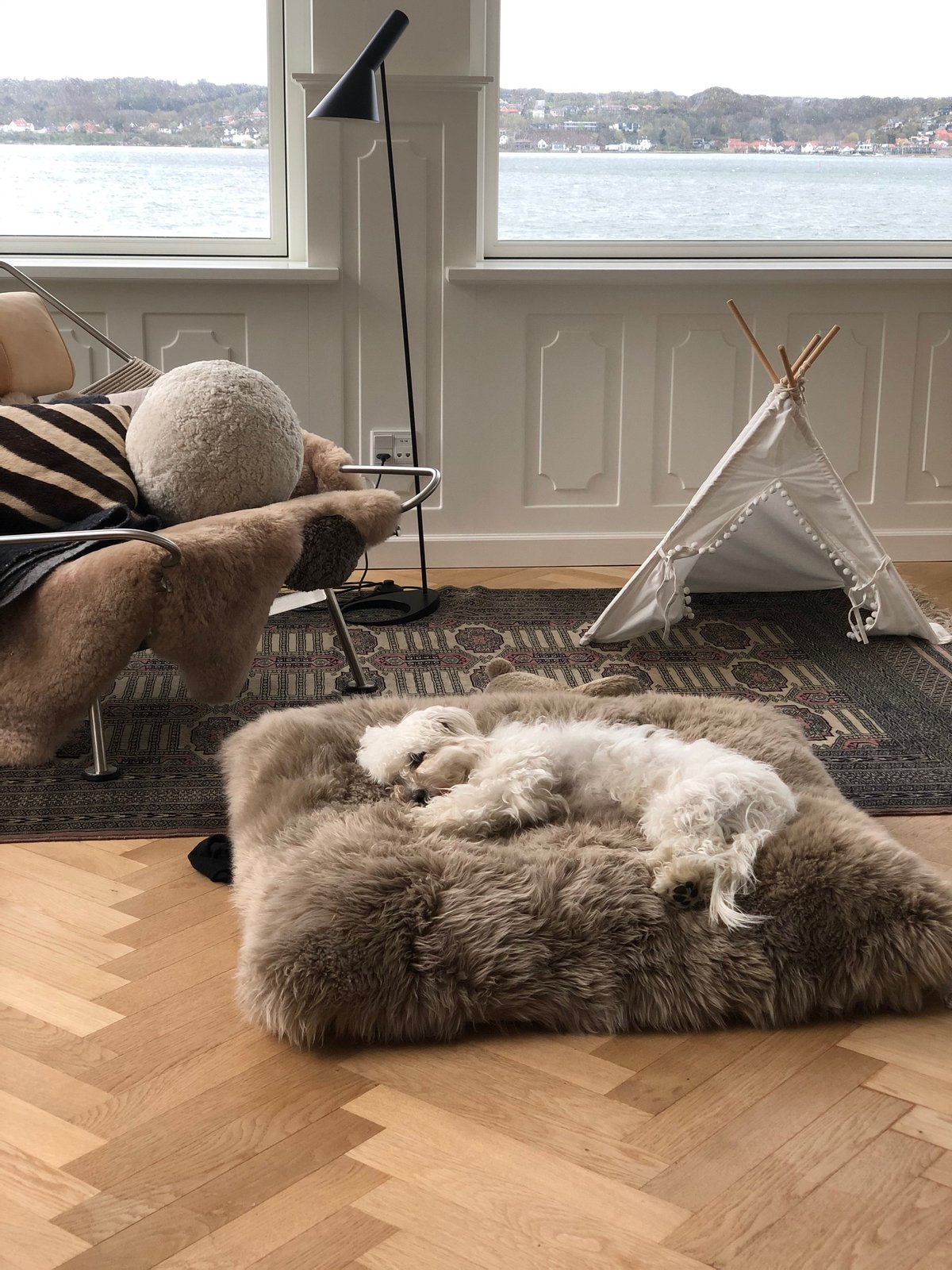 Hund liegt auf ein Sitzsack aus Langhaar Lammfell
