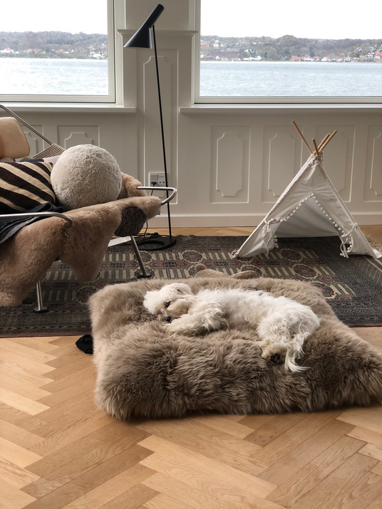 Hund liegt auf ein Sitzsack aus Langhaar Lammfell
