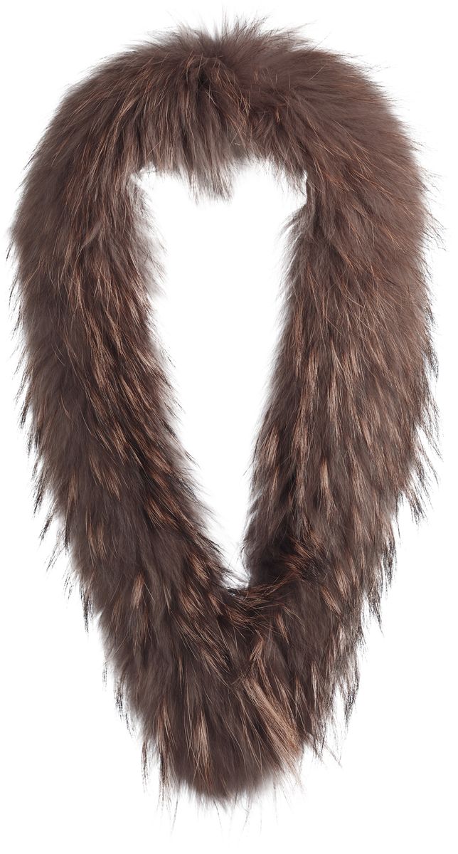 Klara Kragen | Waschbär Modeaccessoire | Sheepskinhouse.ch