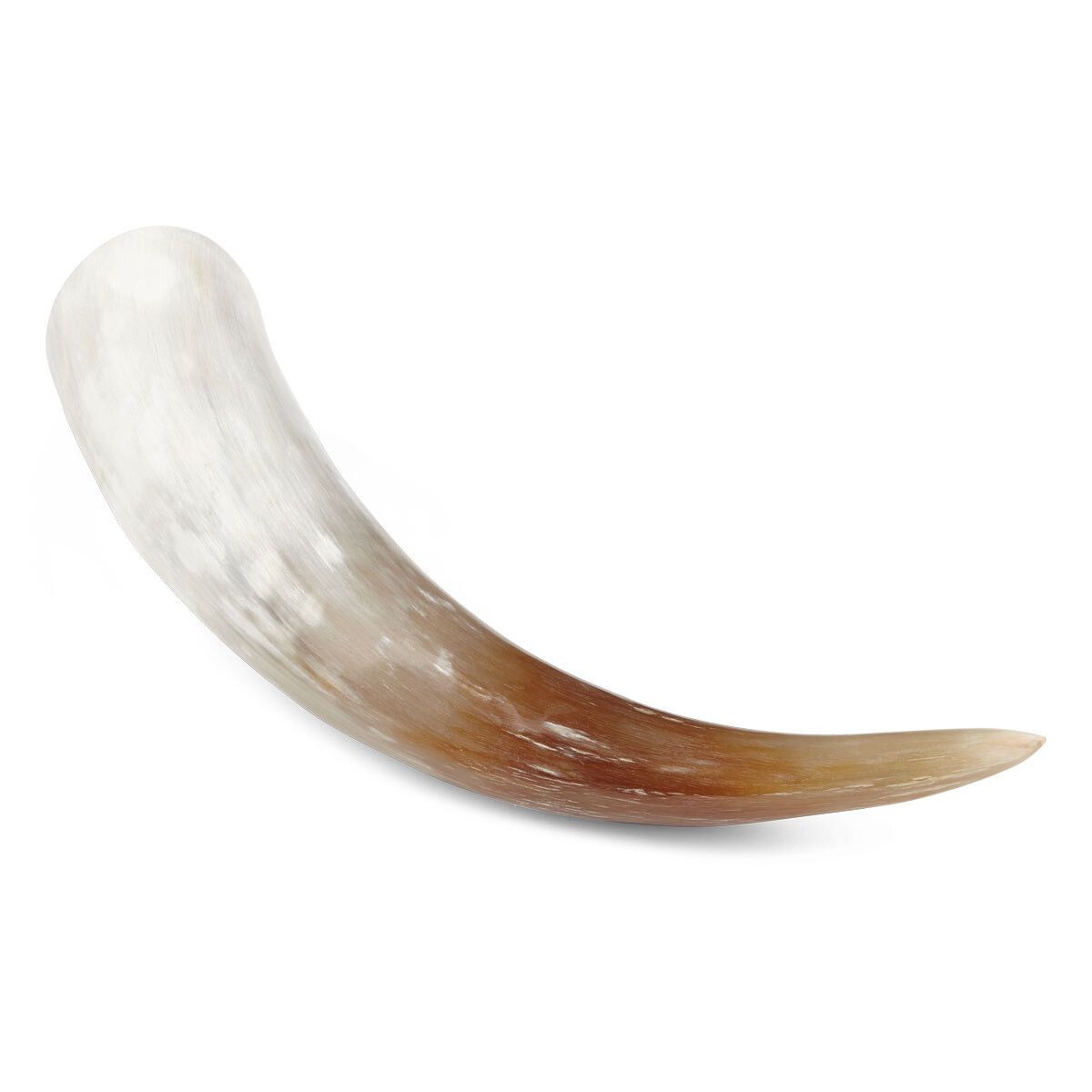 Watusikohorn | Sydafrikansk Wohnaccessoire | Sheepskinhouse.ch