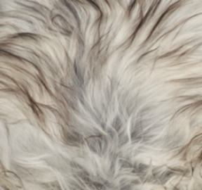 Holzbank mit Lammfell | Island | Eichenbeine | 140x35x45 cm Naturgrau