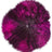 Haarband | Nerz Pink