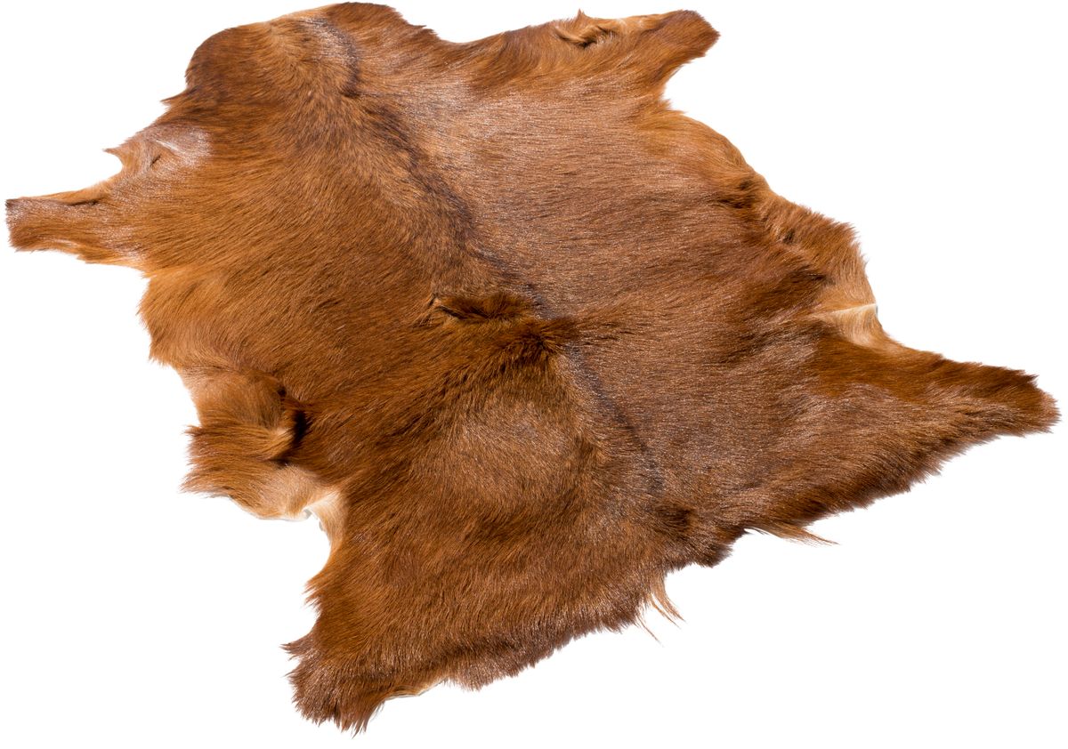 Ziegenfell Premium | Tibet | 90x60 cm Andere Felle | Sheepskinhouse.ch