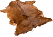 Ziegenfell Premium | Tibet | 90x60 cm Andere Felle | Sheepskinhouse.ch