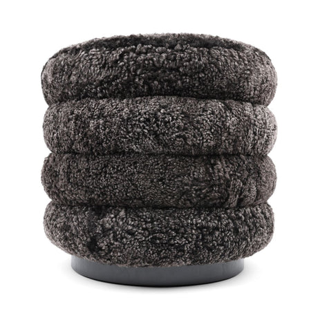 Matthew Pouf | Kurzhaar | Neuseeland Cappuccino