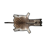 Zebrafell | Premium Qualität | Südafrika | Filzrückseite