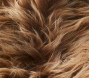 Holzbank mit Lammfell | Island | Eichenbeine | 140x35x45 cm Rostbraun