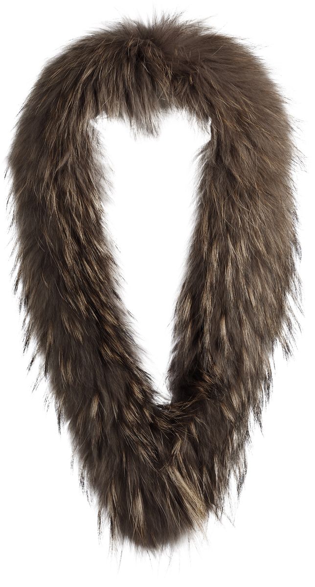 Klara Kragen | Waschbär Modeaccessoire | Sheepskinhouse.ch