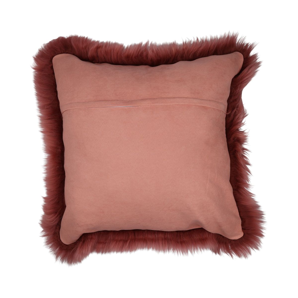 Fellkissen | Langhaar | Neuseeland | 50x50 cm Fellkissen | Sheepskinhouse.ch