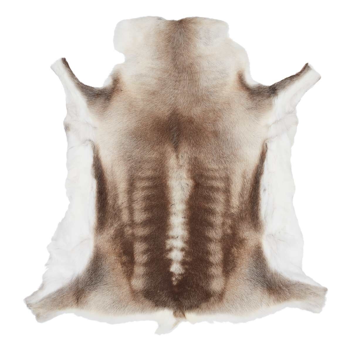 Rentierfell Premium | Finnland | Hell (selten) | 70x110 Andere Felle | Sheepskinhouse.ch