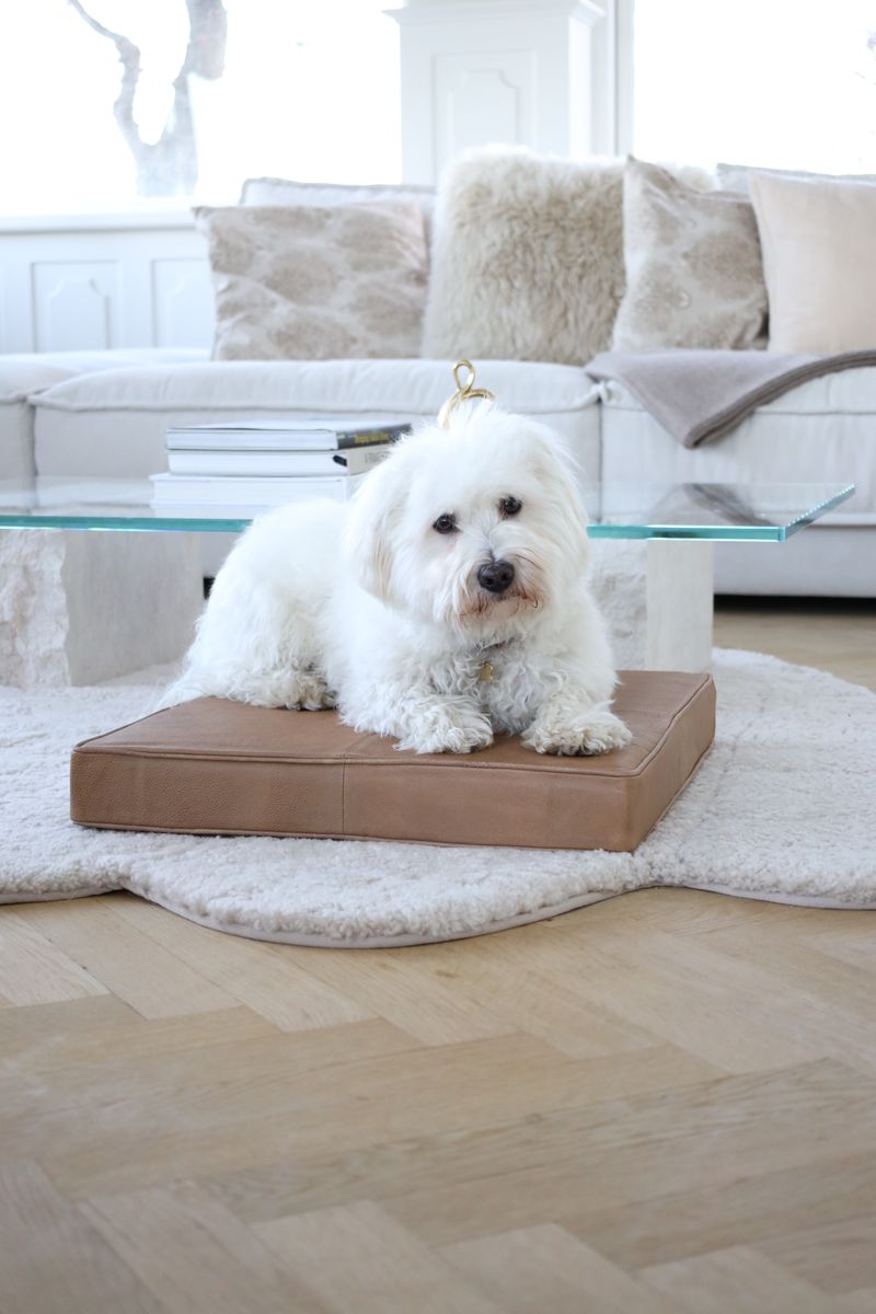 Quadratischer Sitzbezug | Premium Kalbsleder | 50x50x6 cm Sitzkissen | Sheepskinhouse.ch