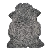 Lammfell Premium | Kurzhaar | Gotland | 100x70 cm Lammfelle | Sheepskinhouse.ch