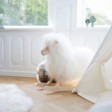 Schaukelschaf │ Povl Kjer Design | Kurzhaar | Groß Weiß