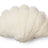 Shell Lammfellkissen | Kurzhaar | Neuseeland | 35x50 cm Elfenbein