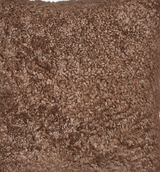 Matthew Pouf | Kurzhaar | Neuseeland Taupe