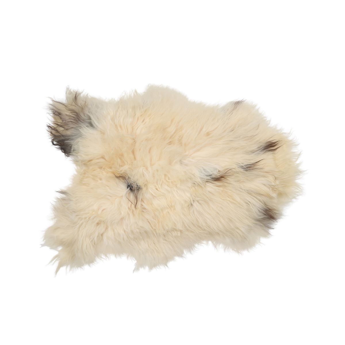 Lammfell Premium | Langhaar | Island | 90x60 cm Lammfelle | Sheepskinhouse.ch